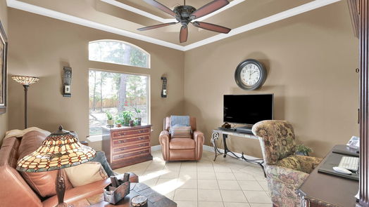 Conroe 2-story, 3-bed 2003 Autumn Ridge Drive-idx