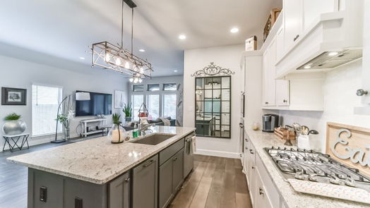 Conroe 1-story, 4-bed 143 Dove Springs Court-idx