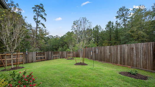 Conroe 1-story, 4-bed 2405 Cindy Court-idx