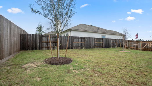 Conroe 1-story, 4-bed 2405 Cindy Court-idx