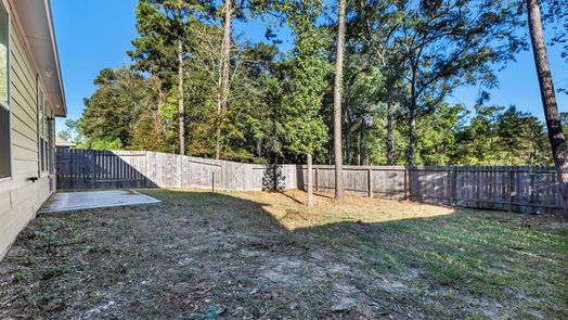 Conroe 2-story, 4-bed 4038 Timber Sapp Drive-idx