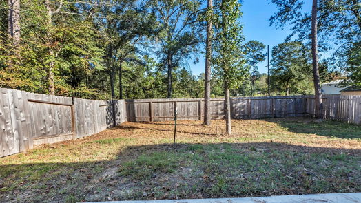 Conroe 2-story, 4-bed 4038 Timber Sapp Drive-idx