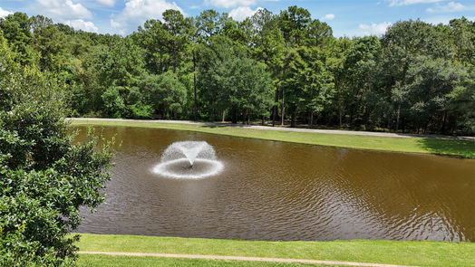 Conroe 2-story, 5-bed 10332 Hunter Creek Lane-idx