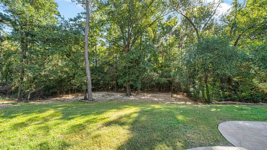 Conroe 2-story, 5-bed 10332 Hunter Creek Lane-idx