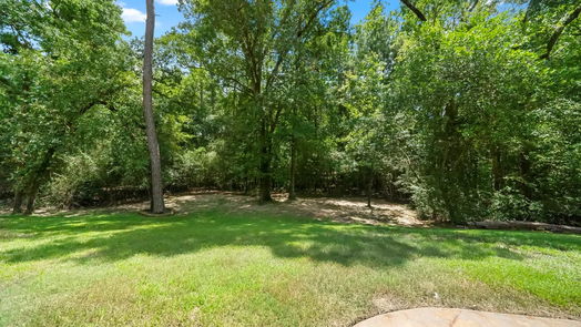 Conroe 2-story, 5-bed 10332 Hunter Creek Lane-idx