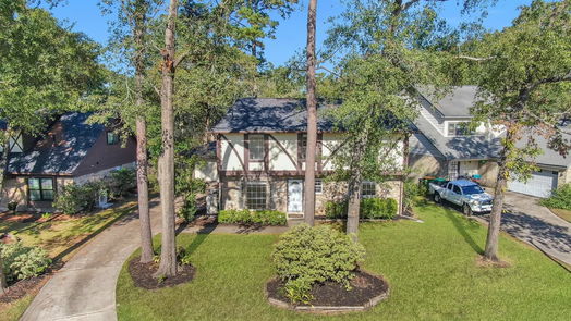 Conroe 2-story, 4-bed 33 Lancelot Lane-idx