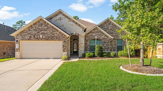 Conroe null-story, 4-bed 12243 Emerald Mist Lane-idx