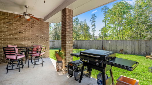 Conroe null-story, 3-bed 303 Trillium Park Loop-idx