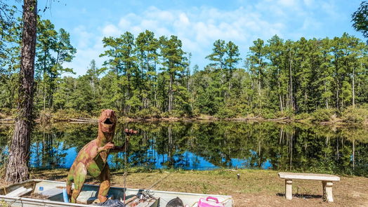 Conroe null-story, null-bed 18111 Howards Way-idx