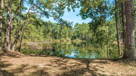 Conroe null-story, null-bed 18111 Howards Way-idx