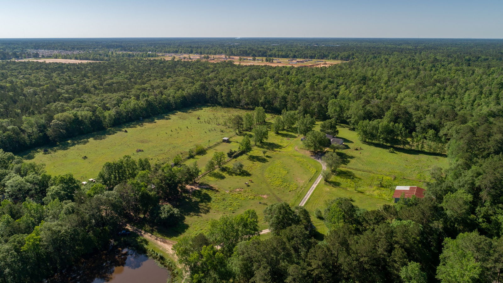 Conroe-3