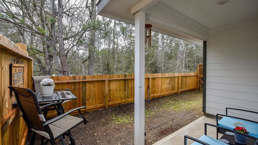 Conroe 1-story, 2-bed 16814 Marie Village Drive-idx