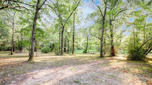 Conroe 1-story, 3-bed 17130 Pugh ln Lane-idx