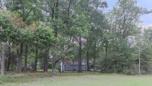 Conroe 1-story, 2-bed 11313 Crockett Martin Road-idx