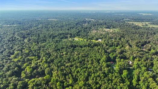 Conroe 1-story, 3-bed 18763 Woodland Forest Drive-idx