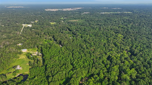 Conroe 1-story, 3-bed 18763 Woodland Forest Drive-idx