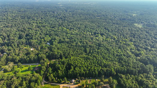 Conroe 1-story, 3-bed 18763 Woodland Forest Drive-idx