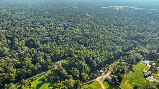 Conroe 1-story, 3-bed 18763 Woodland Forest Drive-idx