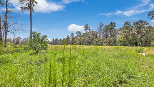 Conroe 1-story, 4-bed 9744 Cold Creek Drive-idx