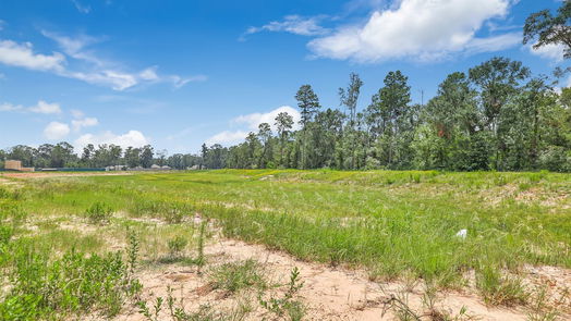 Conroe 1-story, 4-bed 9744 Cold Creek Drive-idx