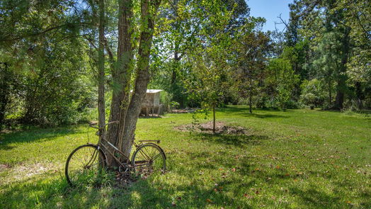 Conroe 2-story, 3-bed 15552 Schank Road-idx