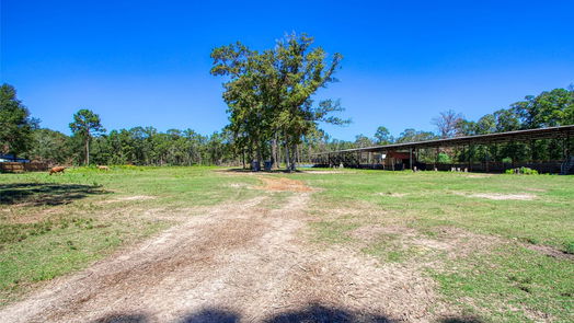 Conroe 2-story, 6-bed 15939 Magnolia Park-idx