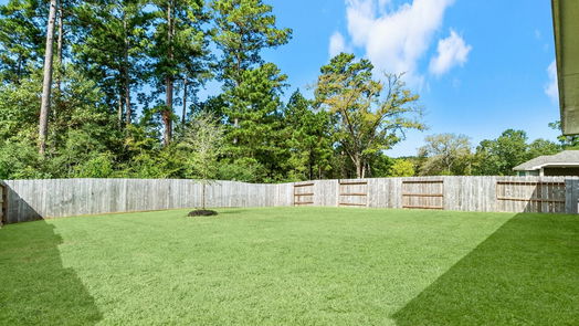 Conroe 1-story, 3-bed 17937 Canopy Trace Court-idx