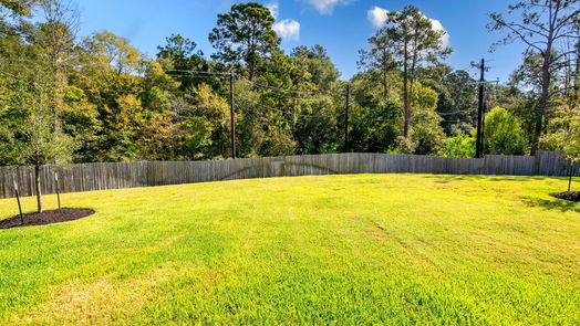 Conroe 1-story, 3-bed 17600 Martin Creek Lane-idx