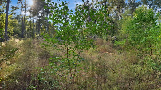 Conroe null-story, null-bed 1112 Columbia River Rd-idx