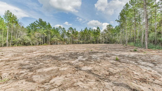 Montgomery null-story, null-bed 8345 Leafbrook Trail-idx