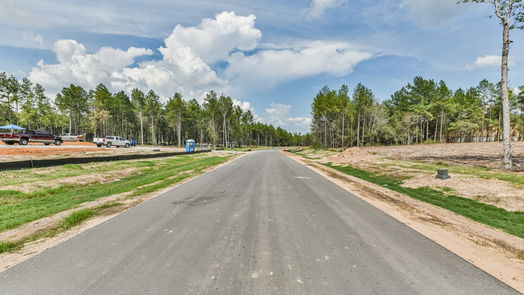 Montgomery null-story, null-bed 8345 Leafbrook Trail-idx