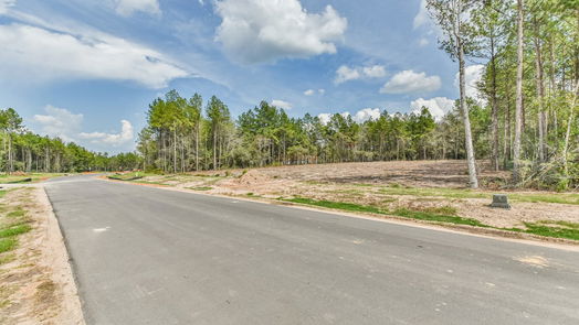 Montgomery null-story, null-bed 8345 Leafbrook Trail-idx
