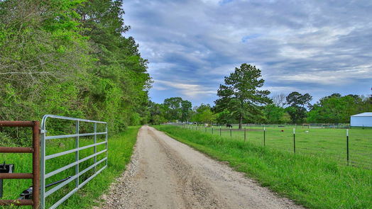 Montgomery 1-story, 6-bed 2735 Bobville Road-idx