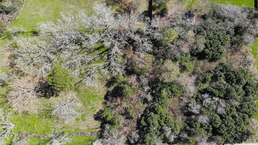 Montgomery null-story, null-bed TBD 1.178 Acres HWY 149-idx