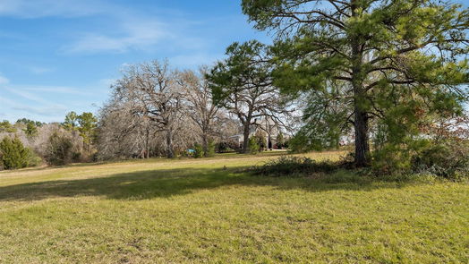 Montgomery 2-story, 3-bed 2624 Saint Beulah Chapel Road-idx