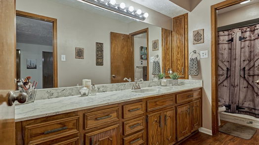 Montgomery 1-story, 4-bed 17601 Rabon Chapel Road-idx