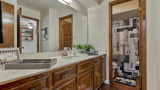 Montgomery 1-story, 4-bed 17601 Rabon Chapel Road-idx