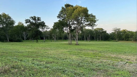 Montgomery null-story, null-bed 612 Worsham Street-idx