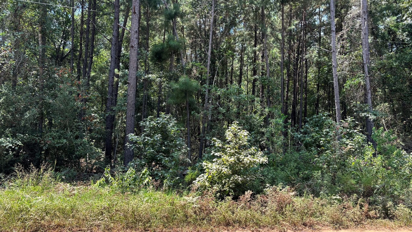 Montgomery null-story, null-bed 0000 Shadow Ln-idx