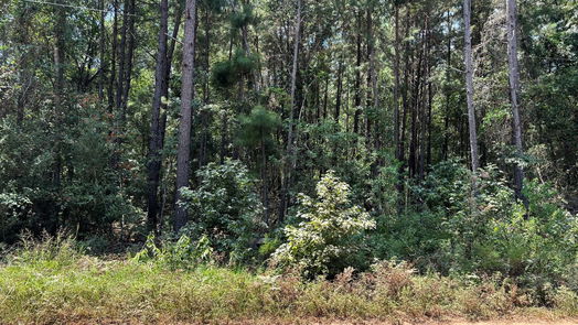 Montgomery null-story, null-bed 0000 Shadow Ln-idx