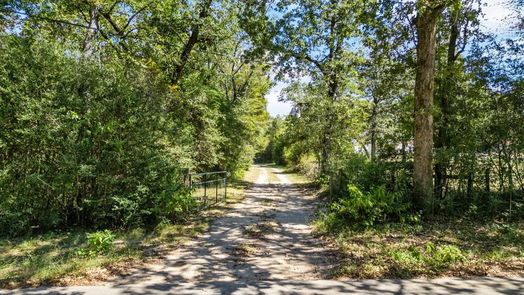 Montgomery 1-story, null-bed 13820 Austin Mccomb Road-idx