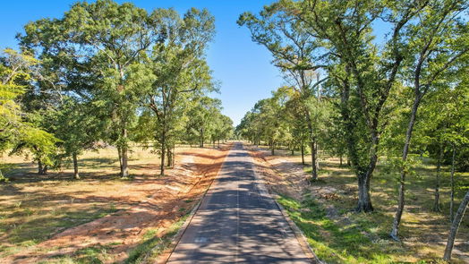 Montgomery null-story, null-bed 2449 Lonely Creek Circle-idx