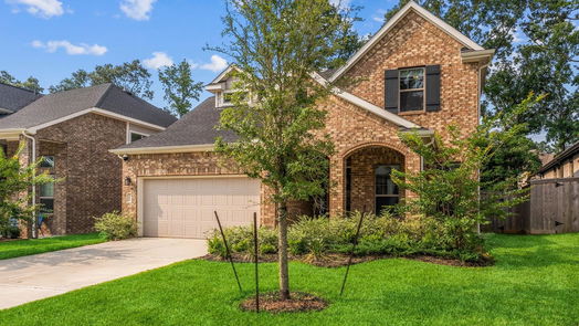 Conroe 2-story, 4-bed 311 Silver Carp Trail-idx