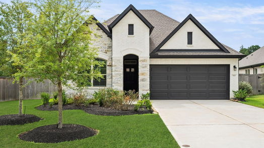 Conroe null-story, 3-bed 311 Fan Palm Court-idx