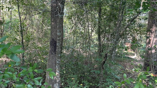 Conroe null-story, 0-bed tbd hoda Drive-idx