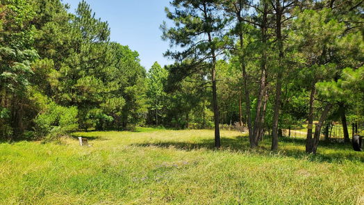 Willis 1-story, 3-bed 7912 Pollard Road-idx