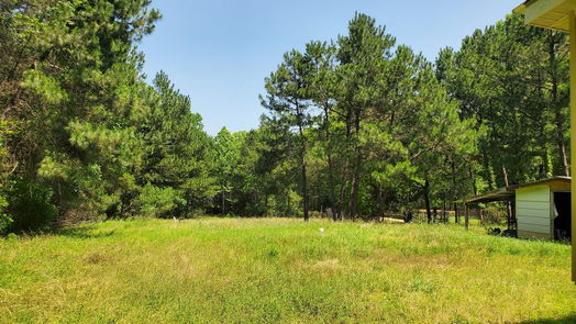 Willis 1-story, 3-bed 7912 Pollard Road-idx
