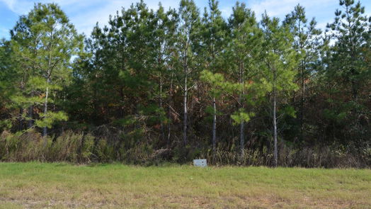 Willis null-story, null-bed 15726 Wood Grove Way-idx