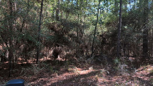 Huntsville null-story, null-bed Lot 9 Rohm Place-idx