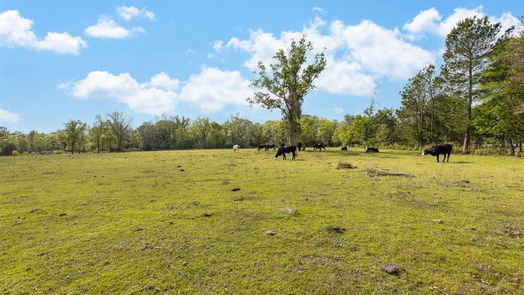 Huntsville null-story, null-bed TBD Angus Ranch Rd Road-idx